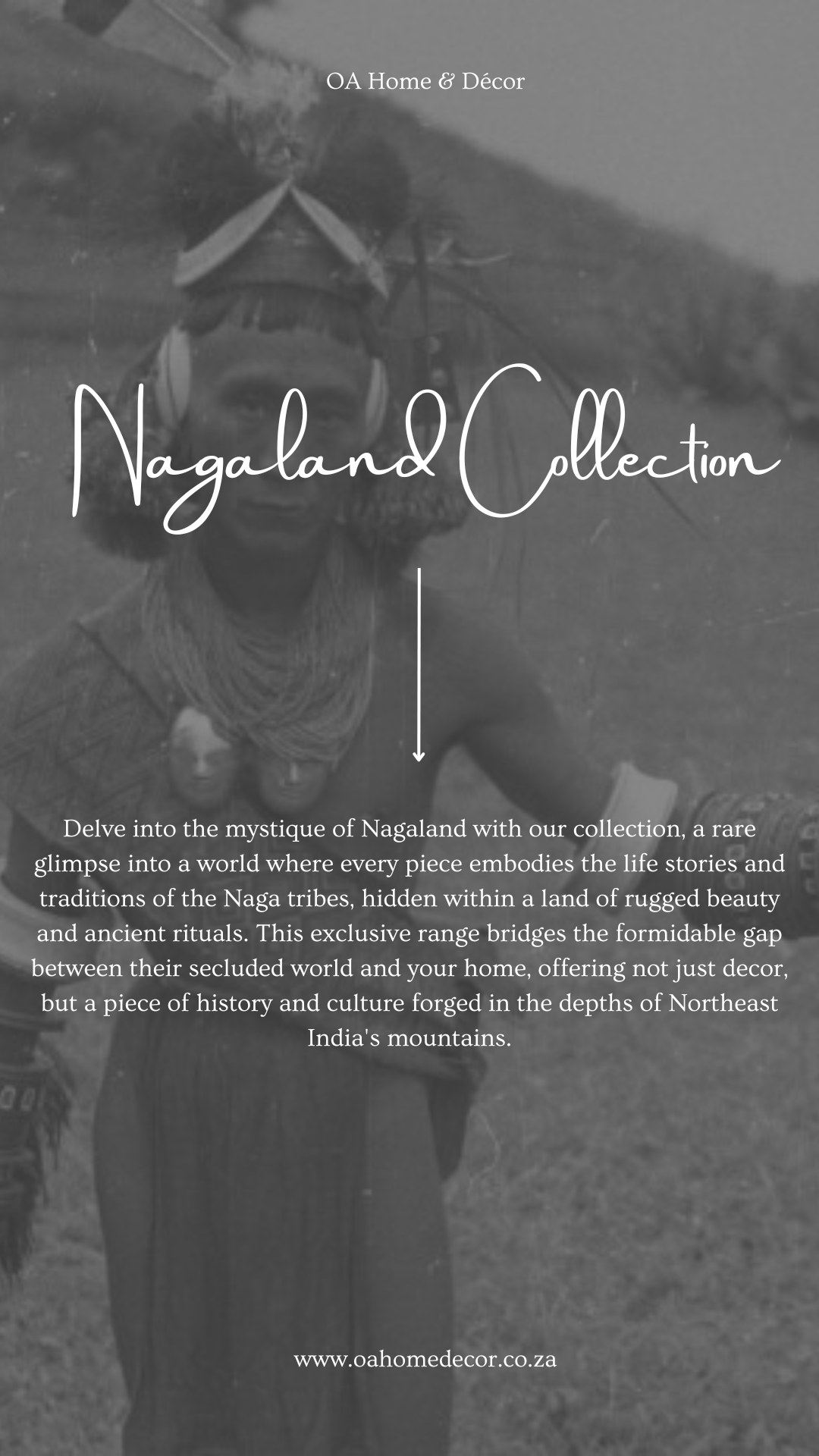 Nagaland Collection