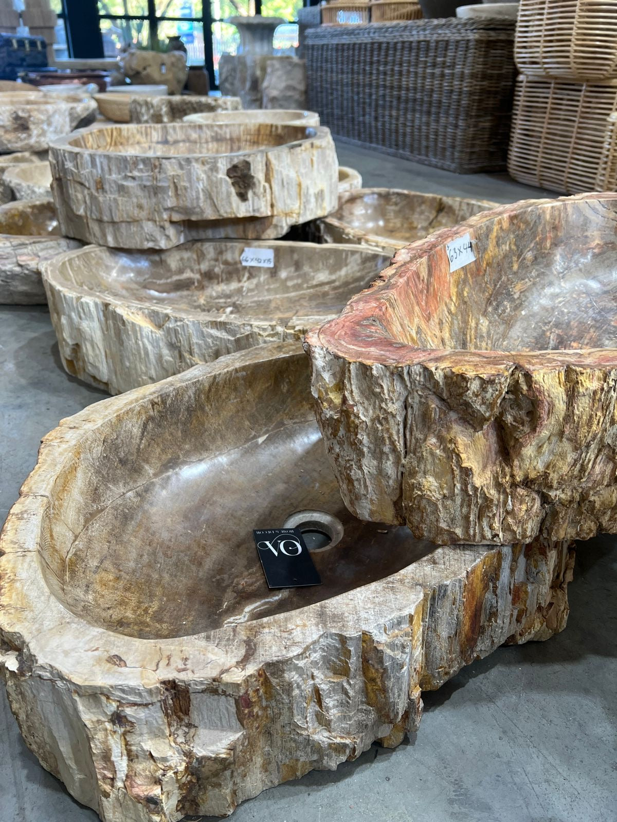 Petrified Wood Basin