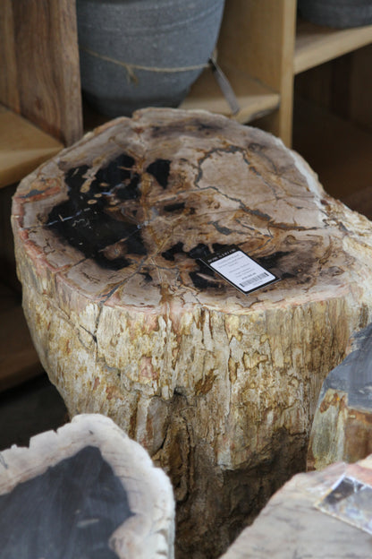 Fossilized Wood Black/Brown Round Side Table