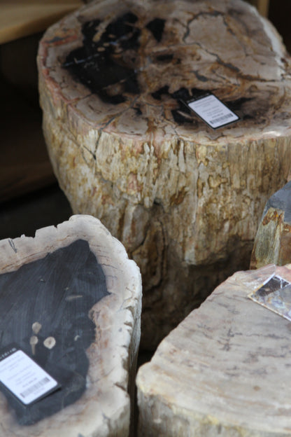 Fossilized Wood Black/Brown Round Side Table