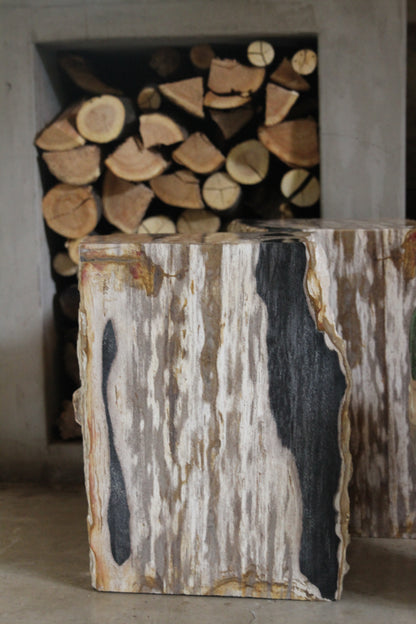 Fossilized Wood Black/Brown Square Side Table