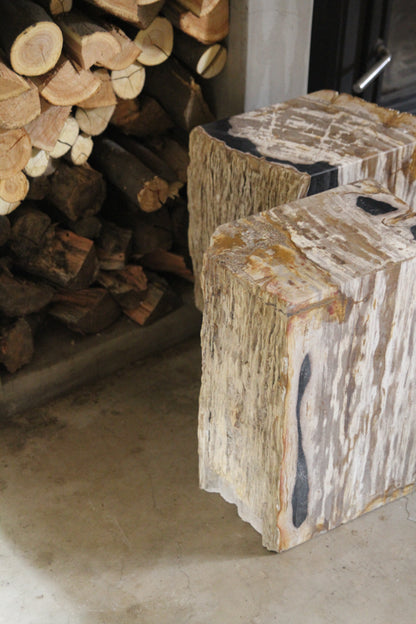 Fossilized Wood Black/Brown Square Side Table