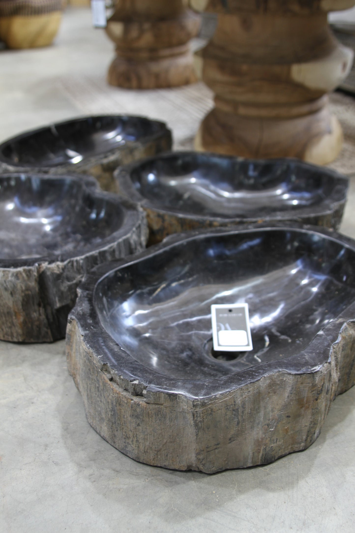 Black Petrified Wood Basin